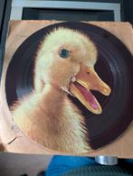 Het lelijke eendje, Ophalen of Verzenden