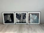 3 Dierenschilderijen - Zebra, Olifant, Luipaard, Huis en Inrichting, Ophalen, Zo goed als nieuw, Schilderij, Minder dan 50 cm