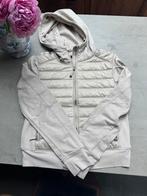 Parajumper jas caelie, Beige, Nieuw, Maat 36 (S), Parajumpers