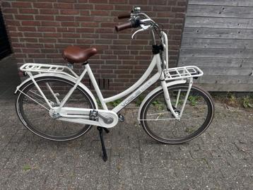 Vogue elite plus nexus3 creme wit beschikbaar voor biedingen
