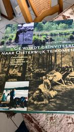 "Ge wordt geïnviteerd naar Oisterwijk te komen", Boeken, Geschiedenis | Stad en Regio, Louis Nouws; Ad van den Oord; Theo Cuijpers; Wim de Bakker