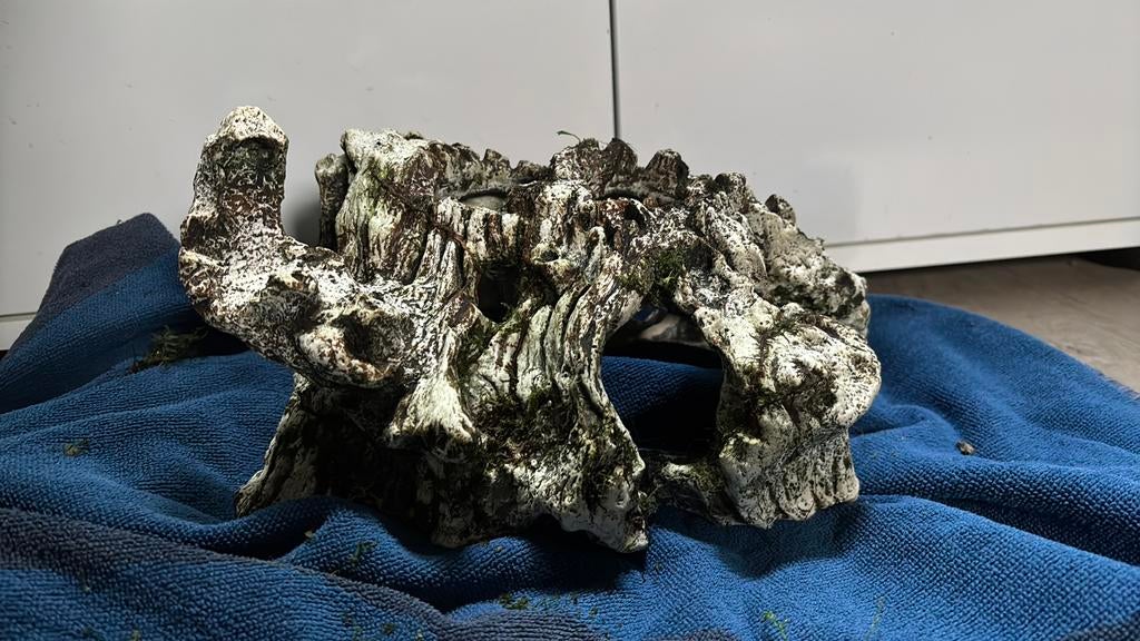 Aquarium inrichting, Dieren en Toebehoren, Vissen | Aquaria en Toebehoren, Ophalen of Verzenden, Zo goed als nieuw, Plant(en), Steen of Hout