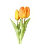 Real toch tulpen bundel oranje, Ophalen of Verzenden, Nieuw, Binnen