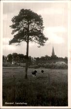 Gorssel - Landschap - Kerktoren en koeien, Ophalen of Verzenden, 1940 tot 1960, Ongelopen, Gelderland