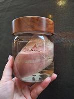 Te koop: Reebok hart met hechtingen op sterk water, Verzamelen, Dierenverzamelingen, Ophalen of Verzenden, Nieuw, Beeldje of Figuurtje