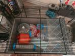 Hamsterkooi met diverse spullen, Kooi, Gebruikt, Minder dan 75 cm, Hamster