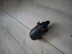 3 mooie  skinny cavia's te koop, Dieren en Toebehoren, Knaagdieren, Cavia, December, Meerdere dieren, Tam
