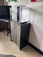 Aquarium + kastje + thermostaat + pomp/filter, Ophalen, Zo goed als nieuw, Leeg aquarium