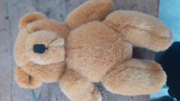 Teddy beer xl  rode punt op neus beschikbaar voor biedingen
