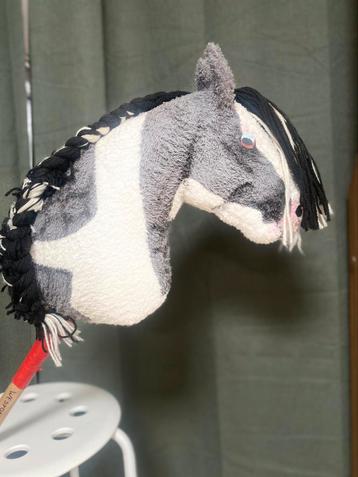 Knappe gevlekte hobbyhorse beschikbaar voor biedingen