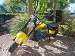E chopper mangosteen  30 amp 10 x e chopper, Ophalen, Zo goed als nieuw, Elektrisch, Overige merken