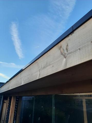 Daktrim zwart beschikbaar voor biedingen
