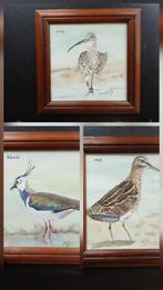 drie aquarellen kievit, wulp, snip, Ophalen of Verzenden