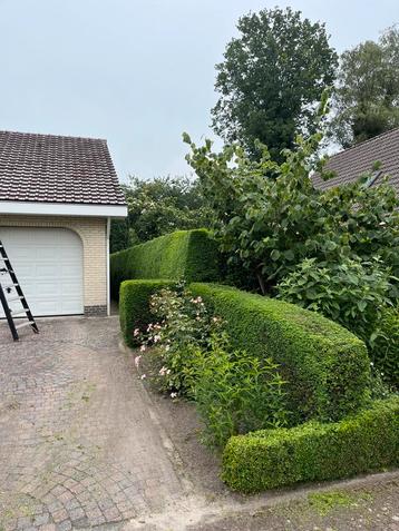 Hovenier/Tuinman aangeboden!  beschikbaar voor biedingen