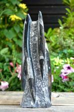 Orthoceras Sculptuur (nr. 14), Verzamelen, Ophalen of Verzenden, Fossiel