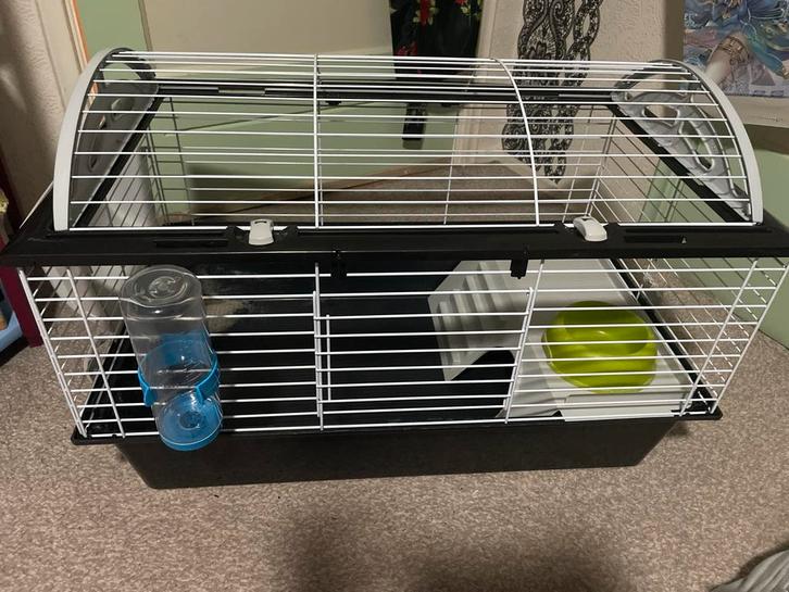 Ferplast Casita 80 cavia/konijnenhok, Dieren en Toebehoren, Knaagdieren en Konijnen | Hokken en Kooien, Hok, Minder dan 60 cm