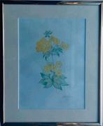 Weemaes Margo: 3 tekeningen in lijstje., Antiek en Kunst, Ophalen of Verzenden