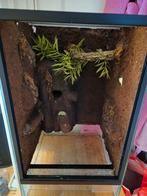 Terrarium 30x30x50 2x, Dieren en Toebehoren, Ophalen, Terrarium of Paludarium