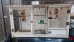 Kleine Volière met nachthok en koppel Mexicaanse roodmus, Dieren en Toebehoren, Ophalen, Gebruikt, Hout, Volière