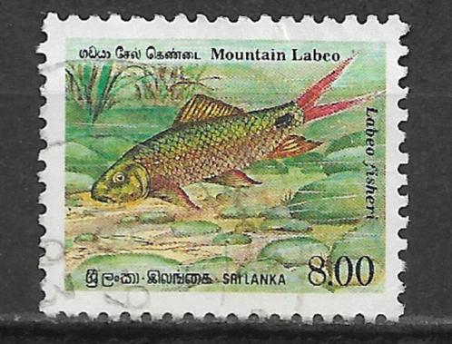 Sri Lanka 1990 Bedreigde vissen karper mountain labeo, Postzegels en Munten, Postzegels | Azië, Gestempeld, Zuid-Azië, Verzenden