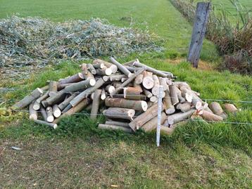 Wilgen brandhout (wilgentakken gratis) beschikbaar voor biedingen