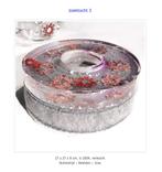 Ans Bakker beeldend glas kunstenaar, glasobject de Zoektocht, Antiek en Kunst, Kunst | Designobjecten, Ophalen of Verzenden