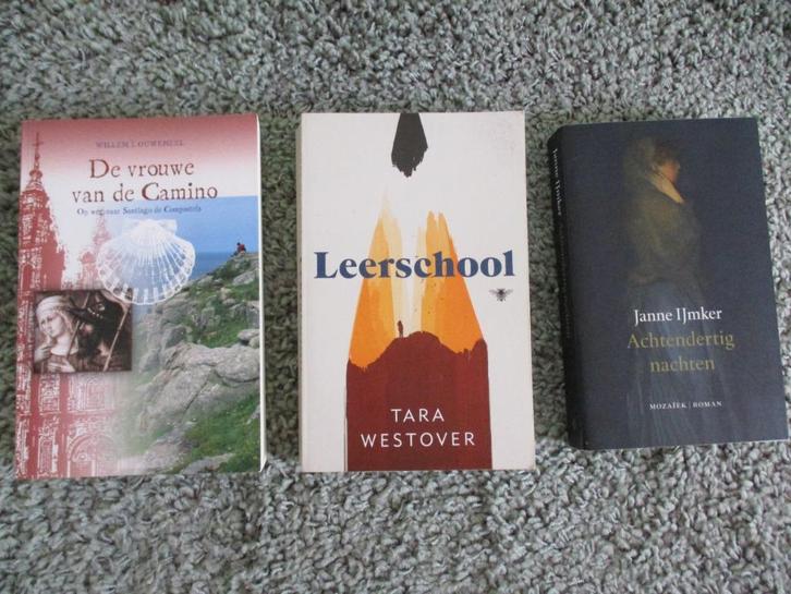 Janne IJmker, Ouweneel , Leerschool 3 x christelijke romans, Boeken, Romans, Gelezen, Nederland, Ophalen of Verzenden