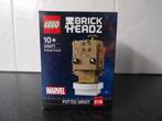 Nieuw Lego Brickheadz 40671 Groot in pot nr 218, Ophalen of Verzenden, Nieuw, Complete set, Lego