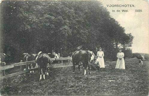 (304-011-039) Voorschoten In de Wei, Verzamelen, Ansichtkaarten | Nederland, Zuid-Holland, Verzenden
