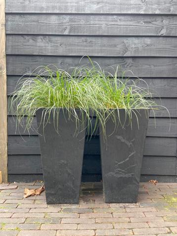2 grote, mooie plantenbakken - Zwart/donkergrijs beschikbaar voor biedingen