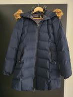 Gaastra Winterjas Dames Maat S, Gaastra, Blauw, Ophalen of Verzenden, Maat 36 (S)