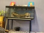 Aquarium/ terrarium  afmetingen 1.50 m× 60 cm × 50 cm, Dieren en Toebehoren, Overige Dieren-accessoires, Gebruikt, Ophalen