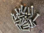 Rvs m16 bouten, Ophalen, 100 tot 250 mm, Nieuw, Rvs