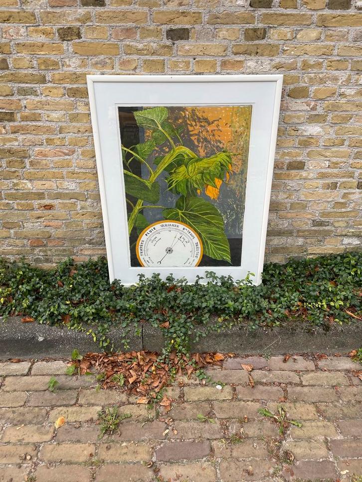 Lithografie Joost Minnigh 1997 barometer zonnebloem 3/20, Antiek en Kunst, Kunst | Litho's en Zeefdrukken, Ophalen