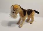 Mooie oude Steiff fox terier, Ophalen of Verzenden