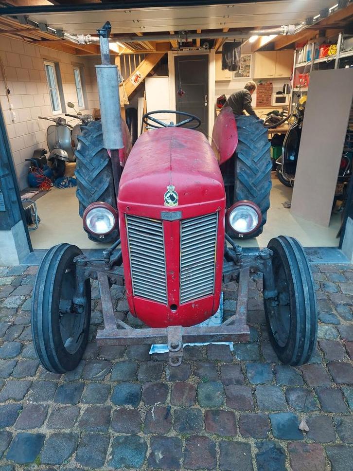 Mf tef20 tractor, Zakelijke goederen, Agrarisch | Tractoren, tot 2500, Massey Ferguson, tot 80 Pk, Oldtimer, Ophalen