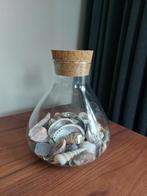 Vaas / Terrarium - Decoratief Glas, Overige kleuren, Verzenden, Minder dan 50 cm, Glas