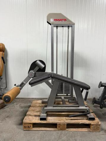 Panatta phrone leg curl / liegende beinbeuger / lying leg beschikbaar voor biedingen