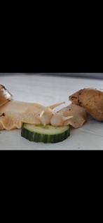 Reuze Afrikaanse Albino Jonkies - Agaatslak, Slang