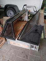 opleermand, Meerdere dieren, Postduif