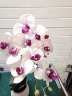 kunst orchidee in pot, Huis en Inrichting, Ophalen of Verzenden, 'T Olde Gre-j, Info@toldegrej.nl, Endepoelstraat 20f Didam