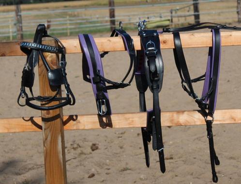 Te koop nieuw mini mini shetlander mentuig paars onderlegd, Dieren en Toebehoren, Paarden en Pony's | Hoofdstellen en Tuigage