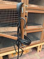 Tess stang en trens hoofdstel full, Ophalen of Verzenden, Zo goed als nieuw, Dressuur