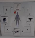 Planner magneetbord kinderen, Ophalen of Verzenden, Gebruikt