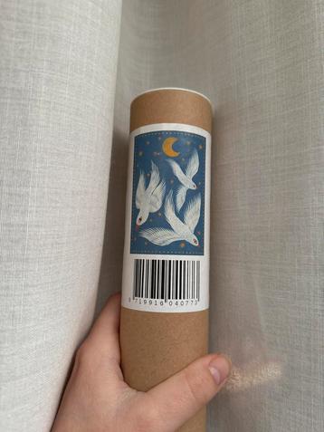 NIEUW anna + nina poster met duiven blauw beschikbaar voor biedingen