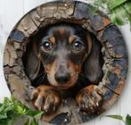 Vintage rond metalen bord Dachshund (20cm), Ophalen of Verzenden, Nieuw
