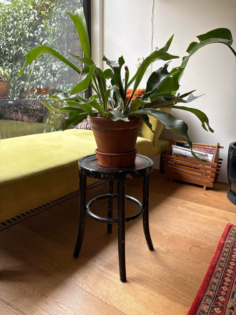 Vintage Krukje - Ideaal als plantenstandaard, Huis en Inrichting, Krukjes, Ophalen, Gebruikt, Hout