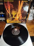 Echo & The Bunnymen - Crocodiles LP, Ophalen of Verzenden