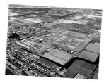 Oude luchtfoto Veiling ’s-Gravenzande - 31.08.1971, 1960 tot 1980, Verzenden, Foto, Zo goed als nieuw