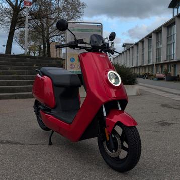 GLOEDNIEUW (1867 km) Niu N1S Elektrische Snor Scooter!  beschikbaar voor biedingen